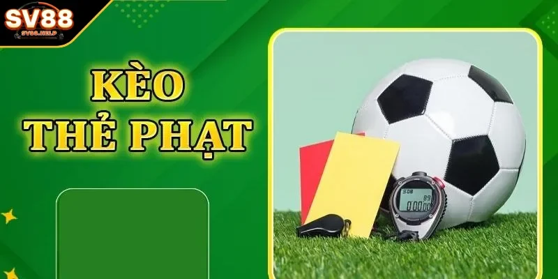 Hướng dẫn cho người mới bắt đầu